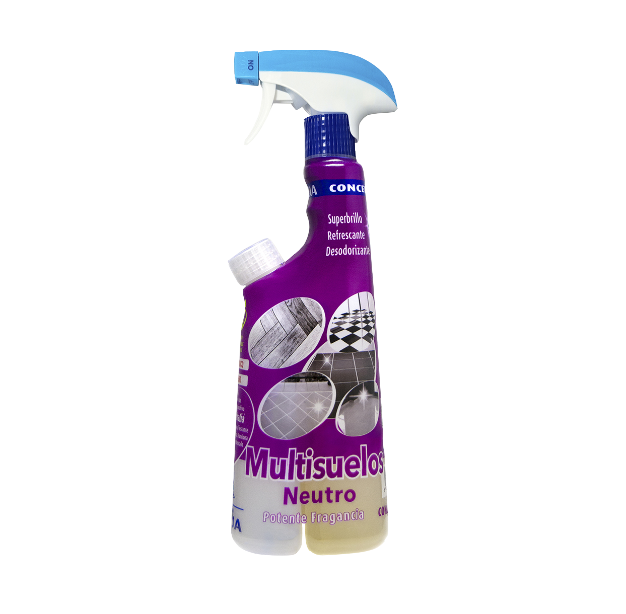 CONCENTRALIA NEUTRO PURPLE CONCENTRALIA NEUTRO PURPLE